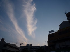 6.6 コンデジ 005