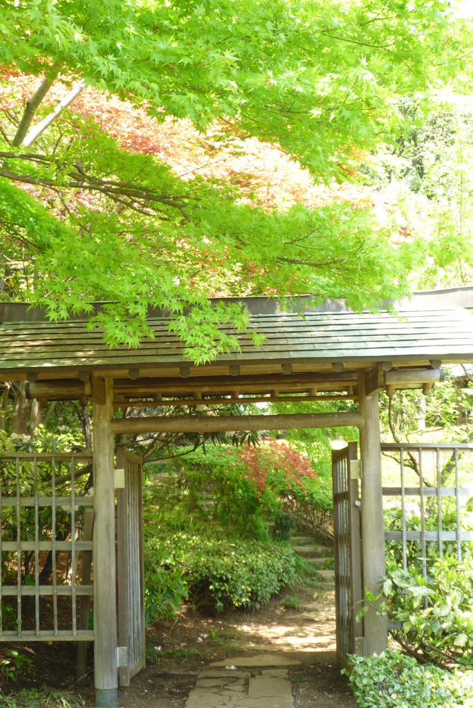 ぼたん園
