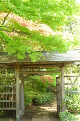 ぼたん園