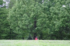 相模原北公園