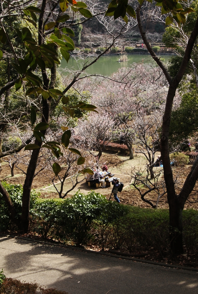 平穏な日々　　１