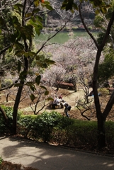 平穏な日々　　１