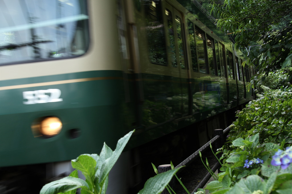 カメラと散歩　鎌倉⑩