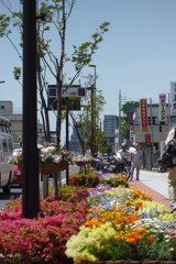 足利フラワーパーク 014