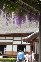 足利学校