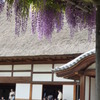 足利学校