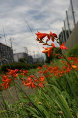 最後の梅雨空