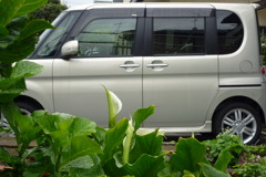 愛車（２）