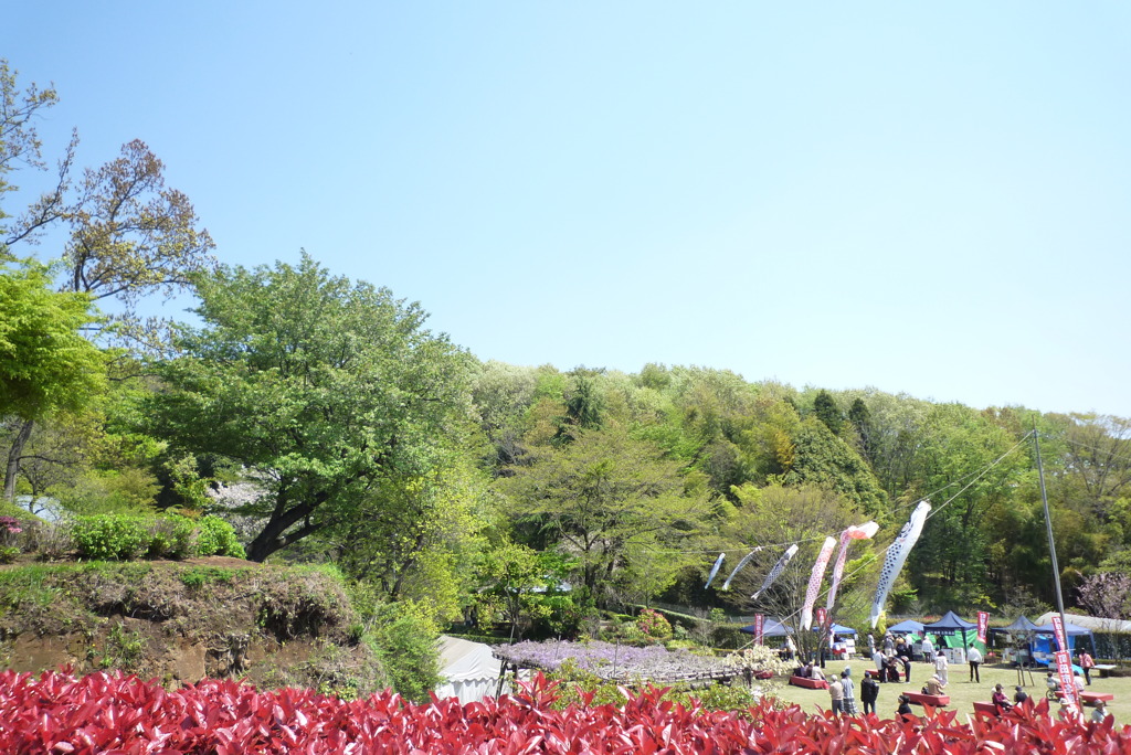 ぼたん園