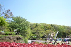 ぼたん園