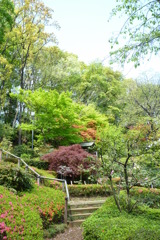 ぼたん園