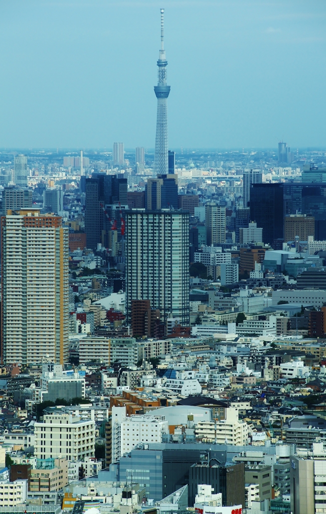 カメラと散歩　新宿副都心⑩