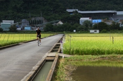 田を走る一輪