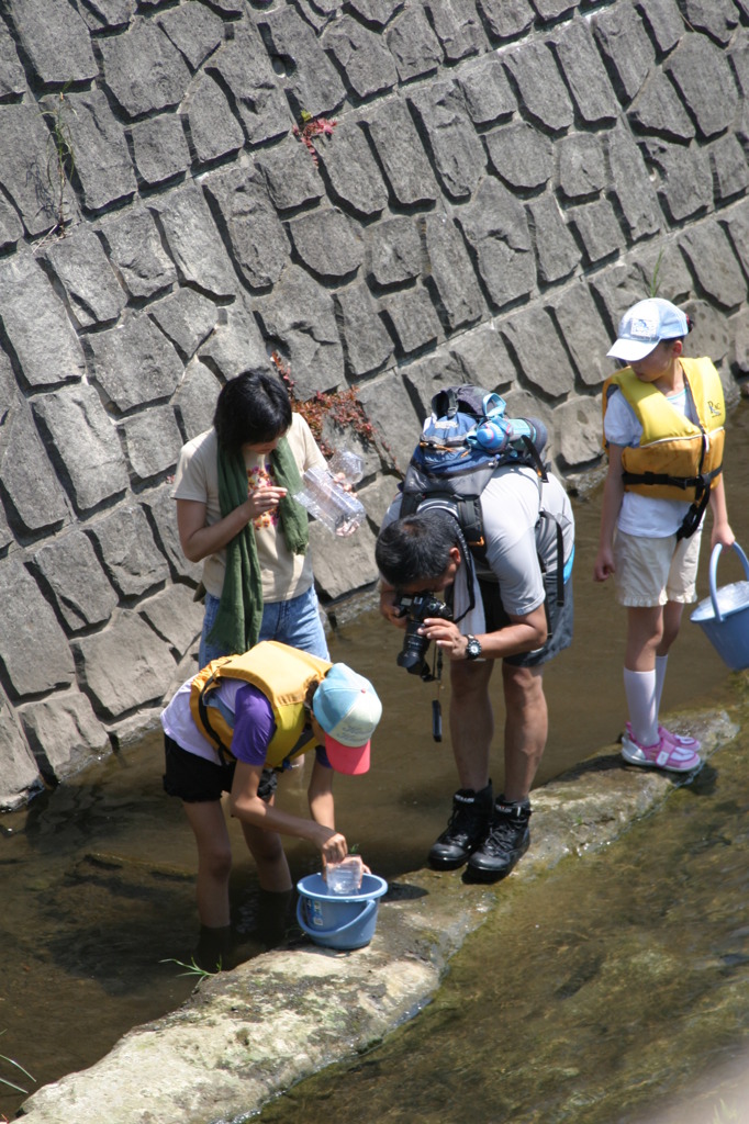 夏休みの宿題　自由研究