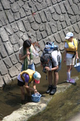 夏休みの宿題　自由研究