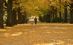 贅沢な散歩