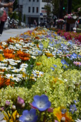 足利フラワーパーク 022