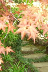 ぼたん園
