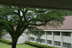 雨もまた楽しい♪