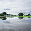 水田(Paddy field)