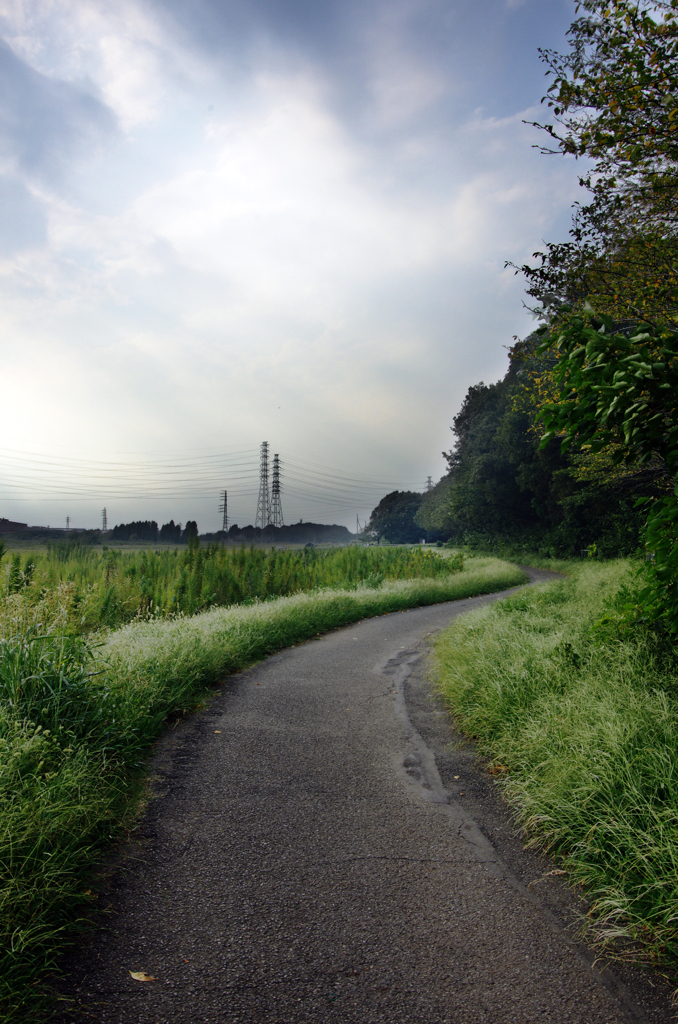 Cycling Road