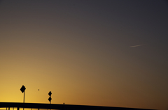 鳥と飛行機と夕焼けと