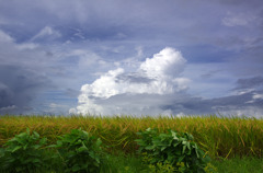 夏の終わりの雷雨雲