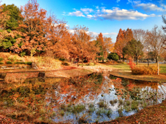 秋色の公園