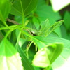 風が止んだ