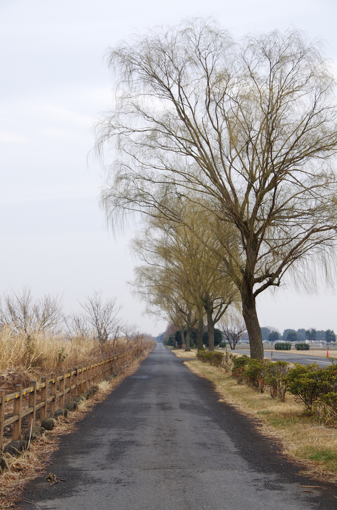 道