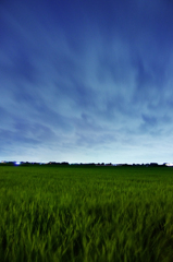 夜風吹く田景