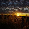The morning sun