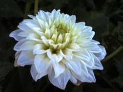P1010053