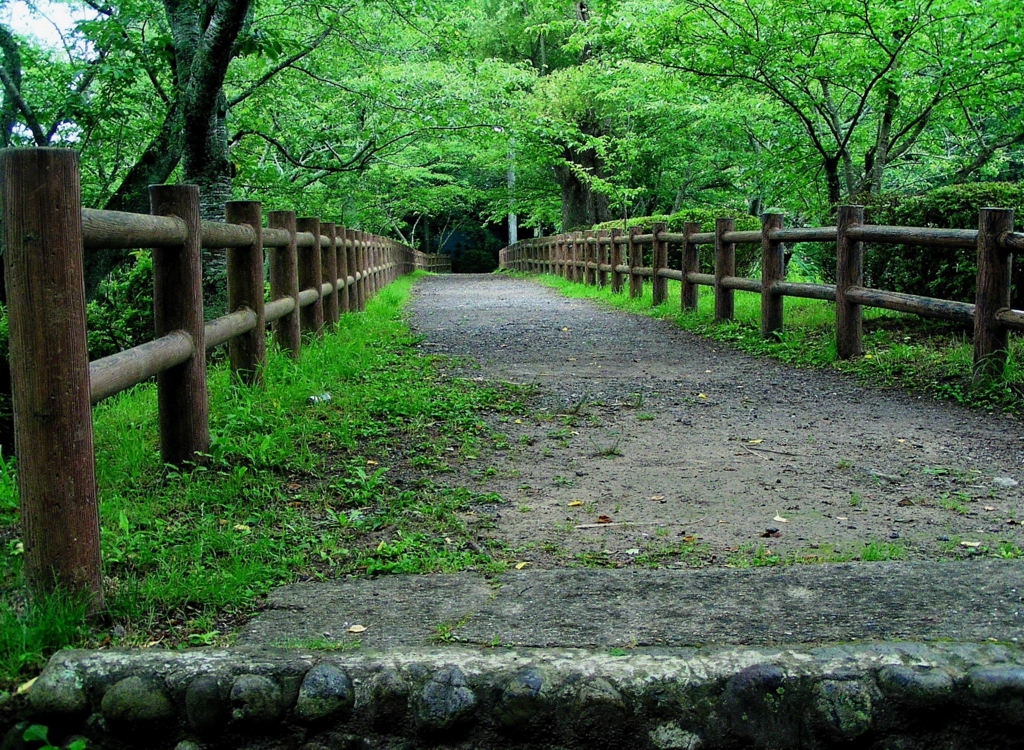 2010-06-29茂原公園06