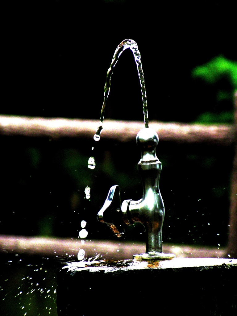 P1010043
