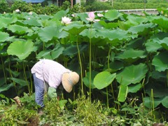 2010-07-30 帰ったらビール飲もう！