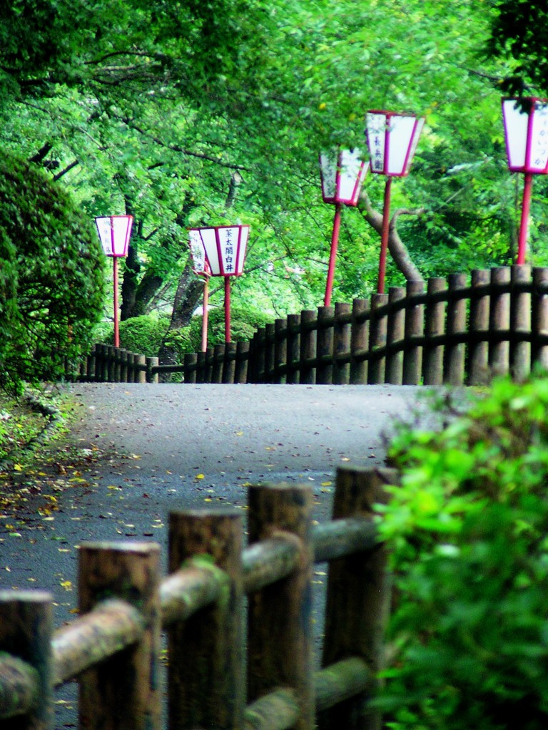 2010-06-29茂原公園72