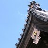 2010-06-04 東金市八鶴湖周辺04