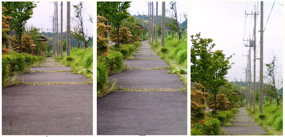 サンプル　　構図２