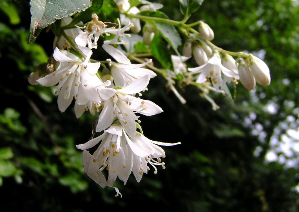 2010-05-30 東金32