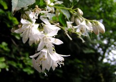 2010-05-30 東金32