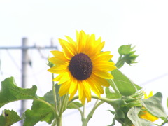 2010-08-01