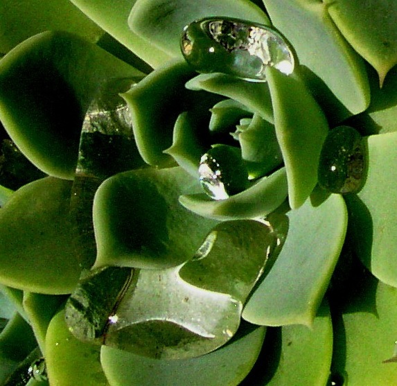 P1010002
