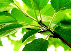 2010-05-27隣近所7