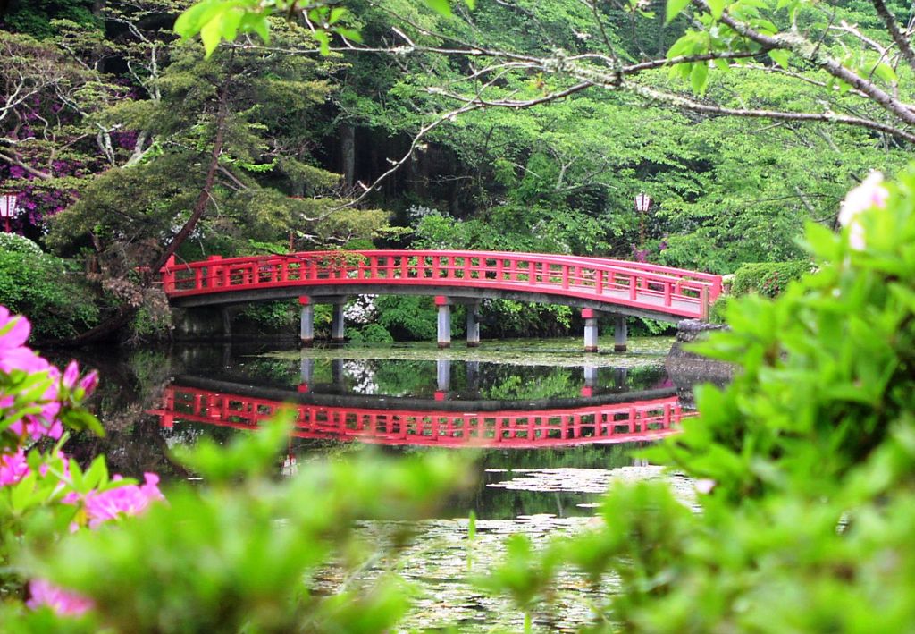 2010-05-11　茂原公園　11