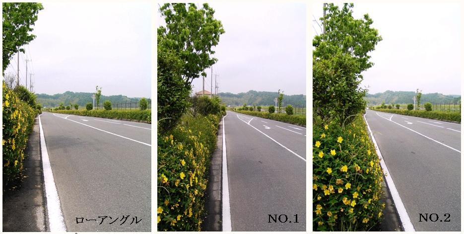 サンプル　　構図１