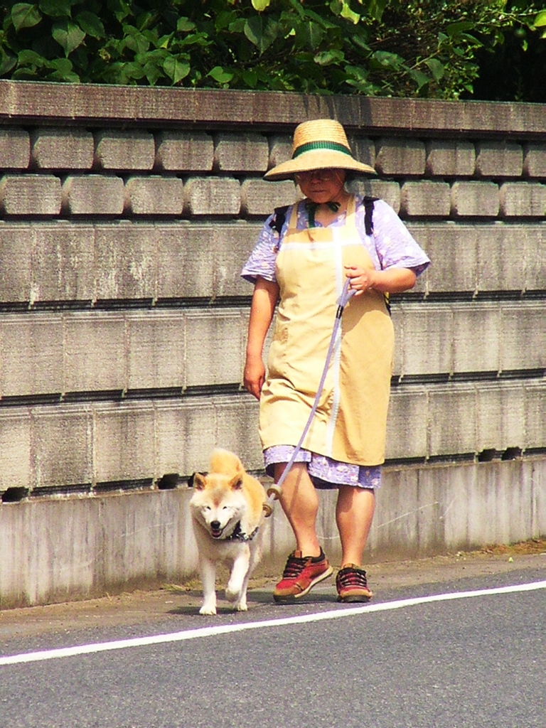 2010-08-01 素晴らしい「ふくらはぎ」