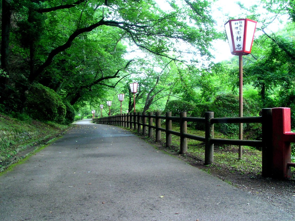 2010-06-29茂原公園46