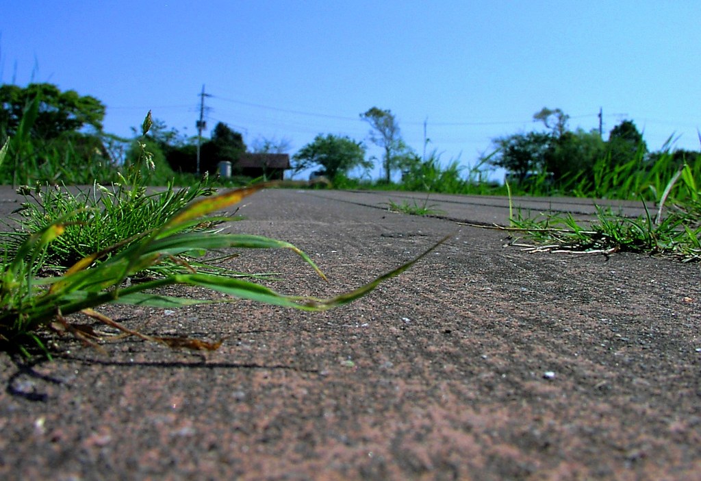 2010-05-13　九十九里町　宮島親水公園10