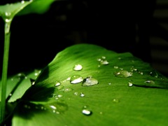 2010-05-27隣近所5